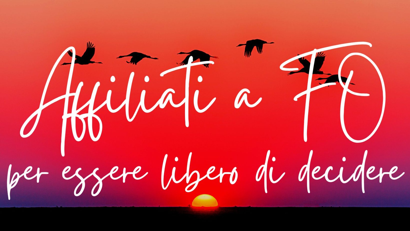 Affiliazione FO